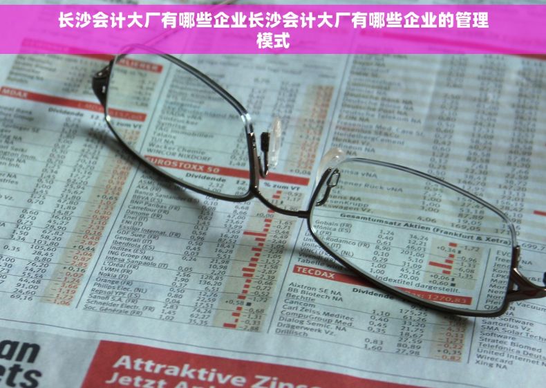 长沙会计大厂有哪些企业长沙会计大厂有哪些企业的管理模式