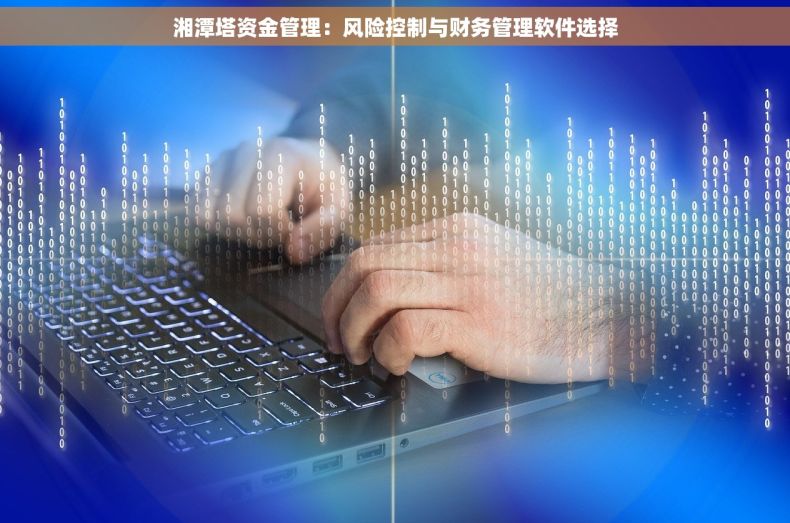 湘潭塔资金管理：风险控制与财务管理软件选择