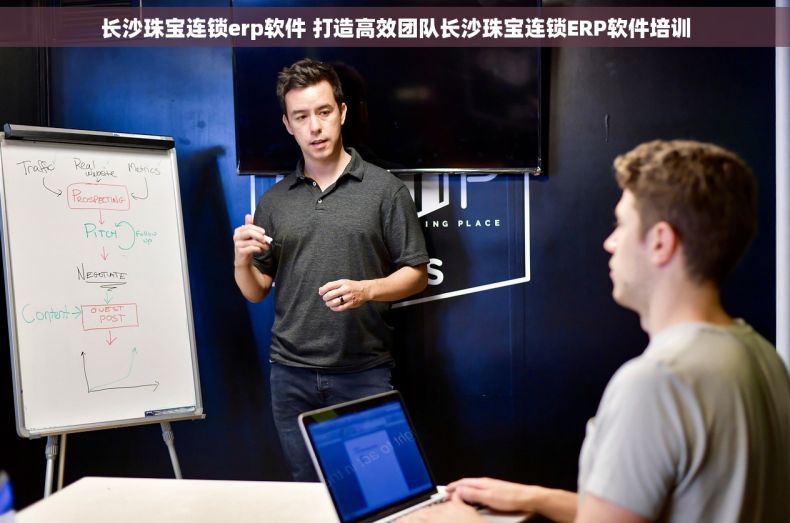 长沙珠宝连锁erp软件 打造高效团队长沙珠宝连锁ERP软件培训