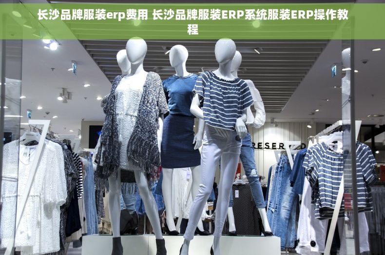 长沙品牌服装erp费用 长沙品牌服装ERP系统服装ERP操作教程