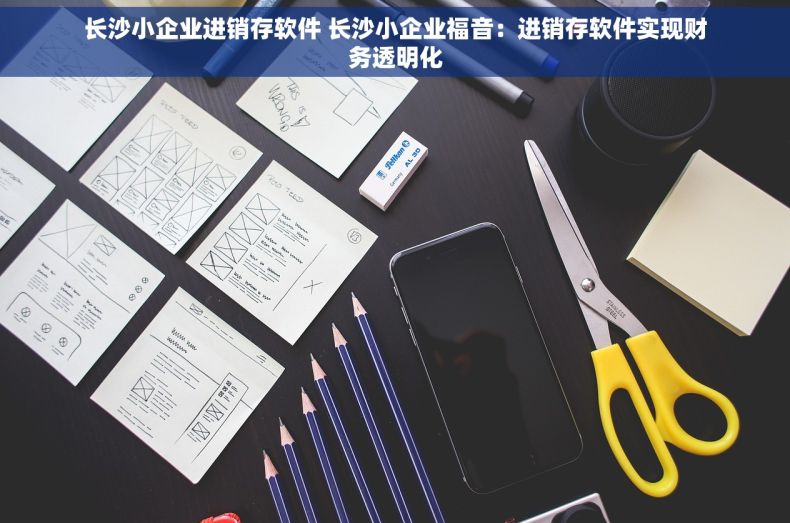长沙小企业进销存软件 长沙小企业福音：进销存软件实现财务透明化