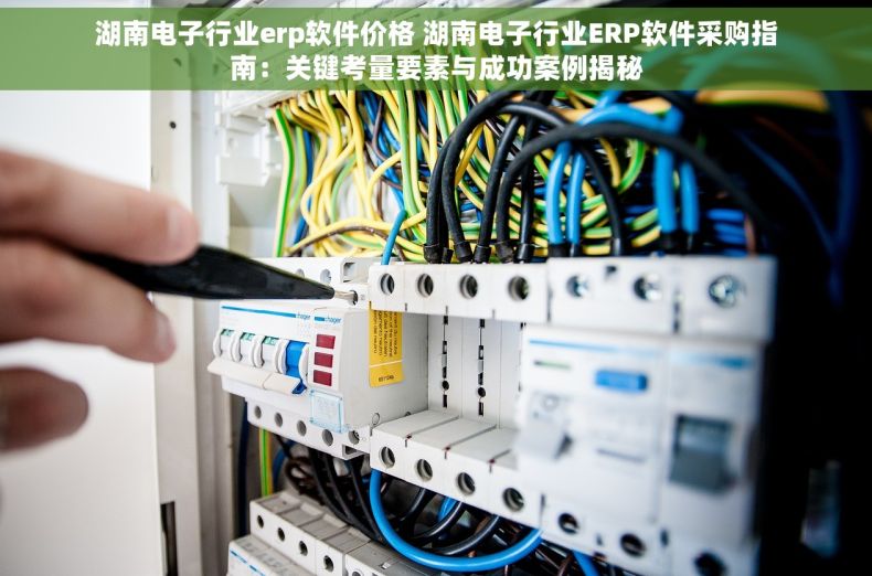 湖南电子行业erp软件价格 湖南电子行业ERP软件采购指南：关键考量要素与成功案例揭秘