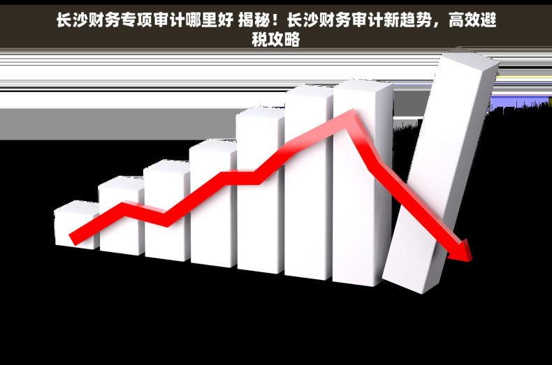 长沙财务专项审计哪里好 揭秘！长沙财务审计新趋势，高效避税攻略