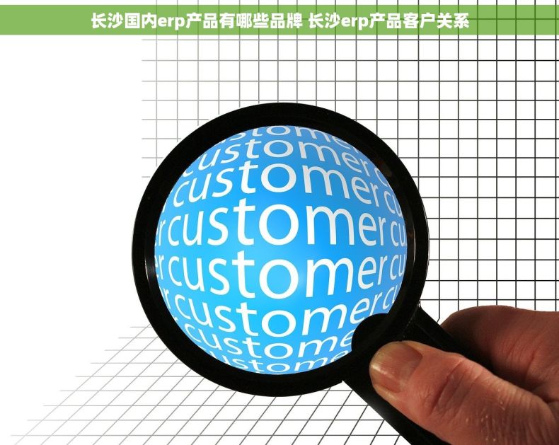 长沙国内erp产品有哪些品牌 长沙erp产品客户关系