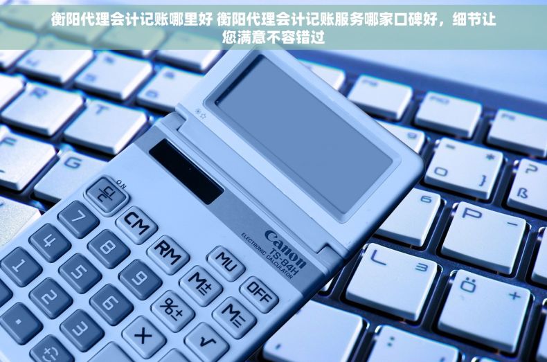 衡阳代理会计记账哪里好 衡阳代理会计记账服务哪家口碑好，细节让您满意不容错过