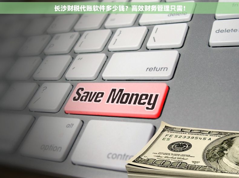 长沙财税代账软件多少钱？高效财务管理只需！