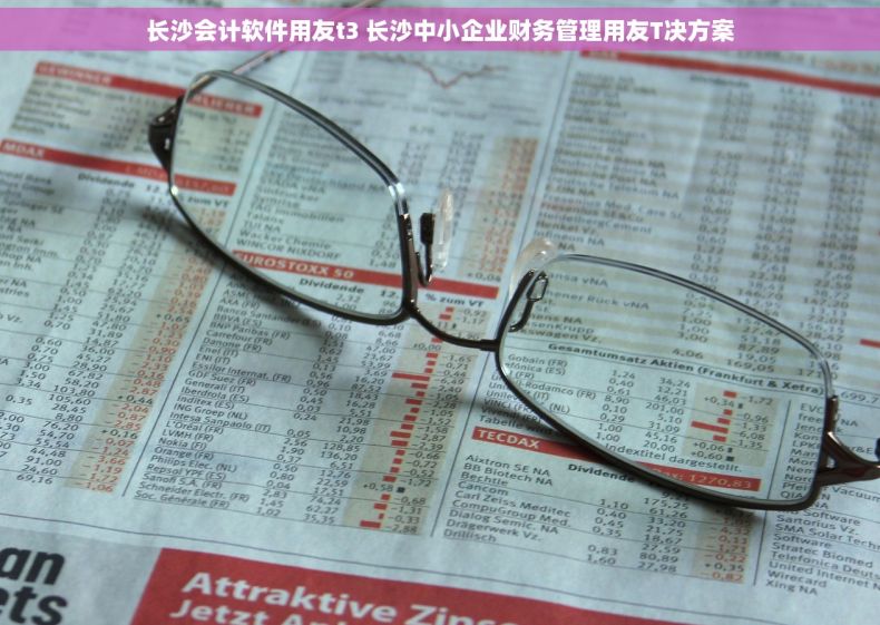 长沙会计软件用友t3 长沙中小企业财务管理用友T决方案