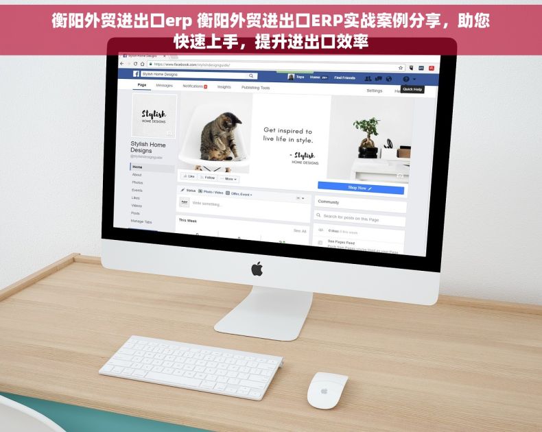 衡阳外贸进出口erp 衡阳外贸进出口ERP实战案例分享，助您快速上手，提升进出口效率