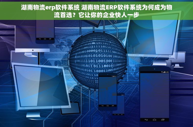 湖南物流erp软件系统 湖南物流ERP软件系统为何成为物流首选？它让你的企业快人一步