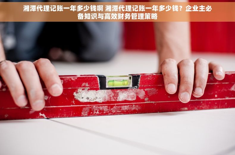 湘潭代理记账一年多少钱啊 湘潭代理记账一年多少钱？企业主必备知识与高效财务管理策略
