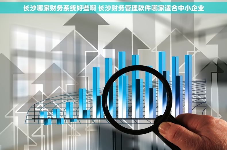 长沙哪家财务系统好些啊 长沙财务管理软件哪家适合中小企业