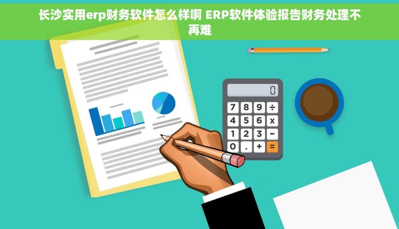 长沙实用erp财务软件怎么样啊 ERP软件体验报告财务处理不再难