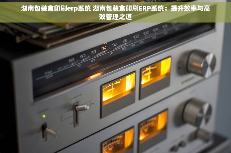 湖南包装盒印刷erp系统 湖南包装盒印刷ERP系统：提升效率与高效管理之道