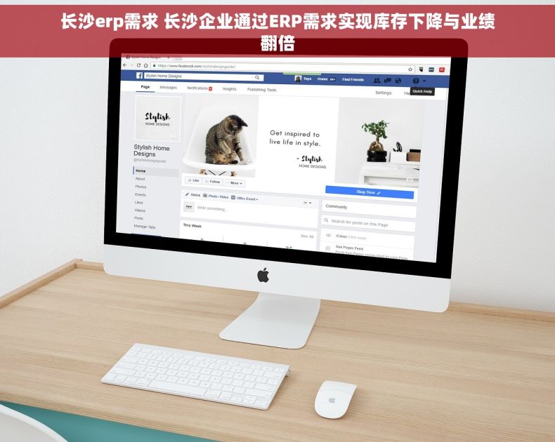 长沙erp需求 长沙企业通过ERP需求实现库存下降与业绩翻倍