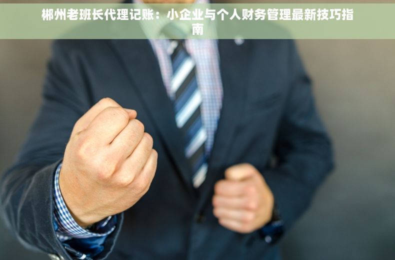 郴州老班长代理记账：小企业与个人财务管理最新技巧指南