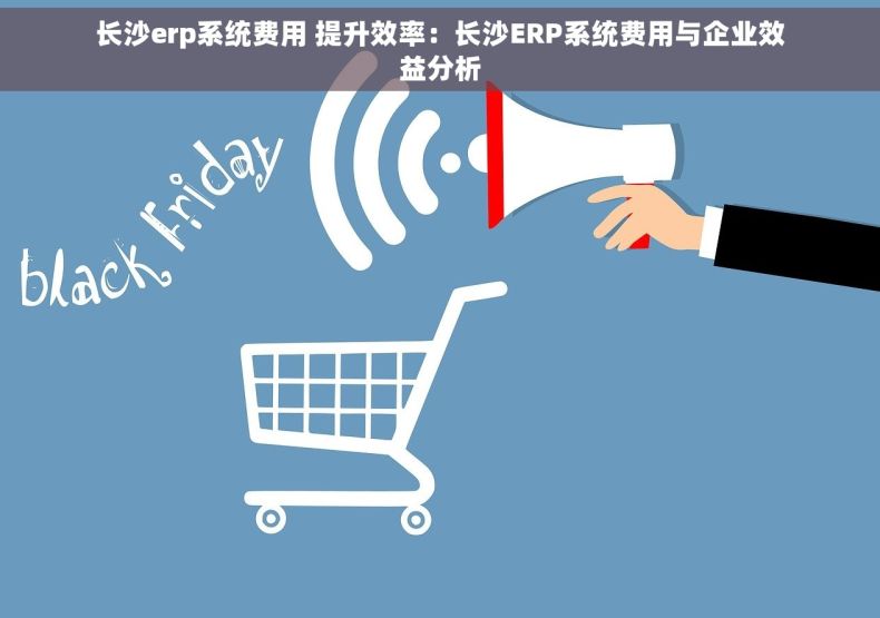 长沙erp系统费用 提升效率：长沙ERP系统费用与企业效益分析