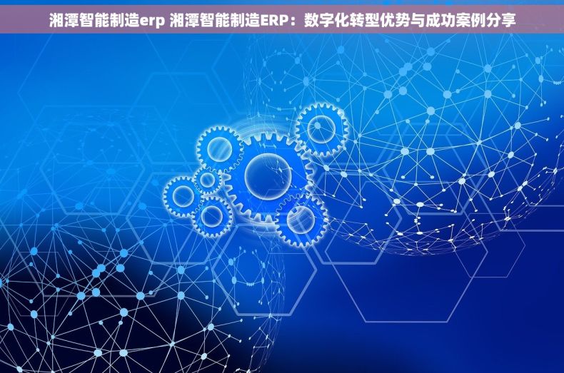 湘潭智能制造erp 湘潭智能制造ERP：数字化转型优势与成功案例分享