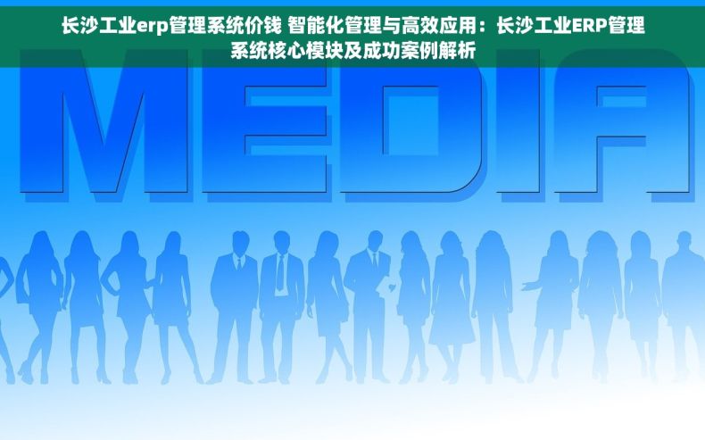 长沙工业erp管理系统价钱 智能化管理与高效应用：长沙工业ERP管理系统核心模块及成功案例解析