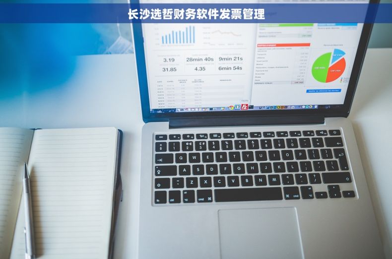 长沙选哲财务软件发票管理