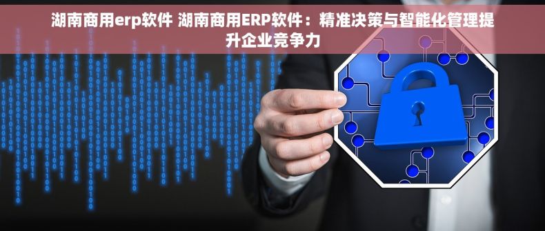 湖南商用erp软件 湖南商用ERP软件：精准决策与智能化管理提升企业竞争力