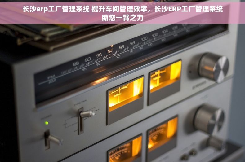 长沙erp工厂管理系统 提升车间管理效率，长沙ERP工厂管理系统助您一臂之力