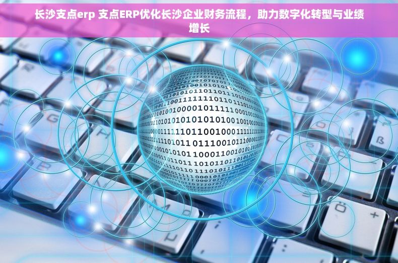 长沙支点erp 支点ERP优化长沙企业财务流程，助力数字化转型与业绩增长