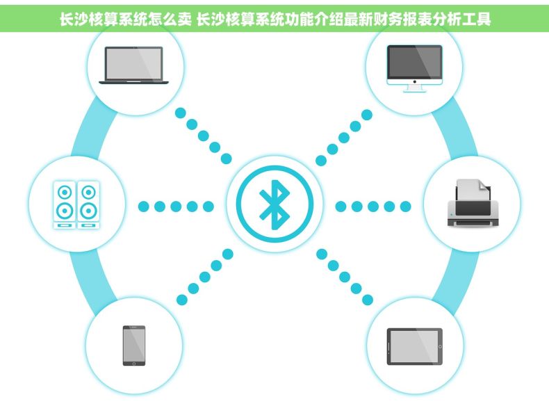 长沙核算系统怎么卖 长沙核算系统功能介绍最新财务报表分析工具