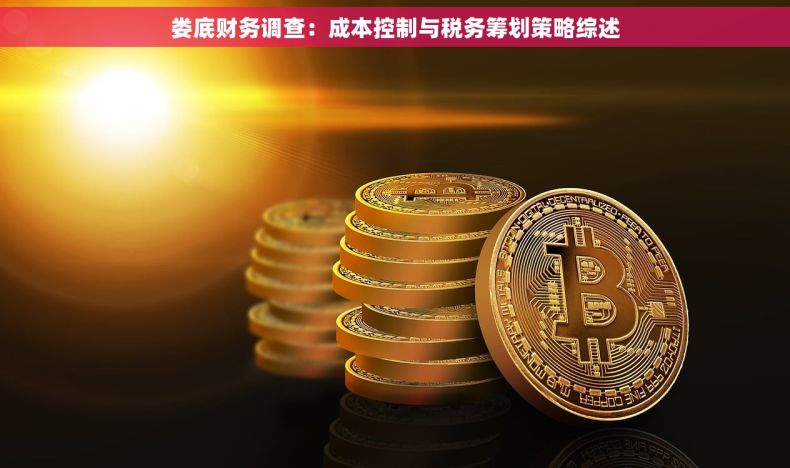 娄底财务调查：成本控制与税务筹划策略综述