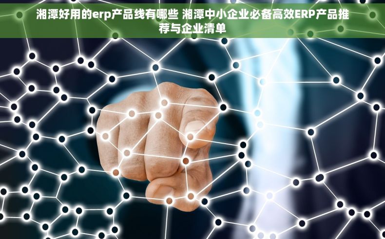 湘潭好用的erp产品线有哪些 湘潭中小企业必备高效ERP产品推荐与企业清单