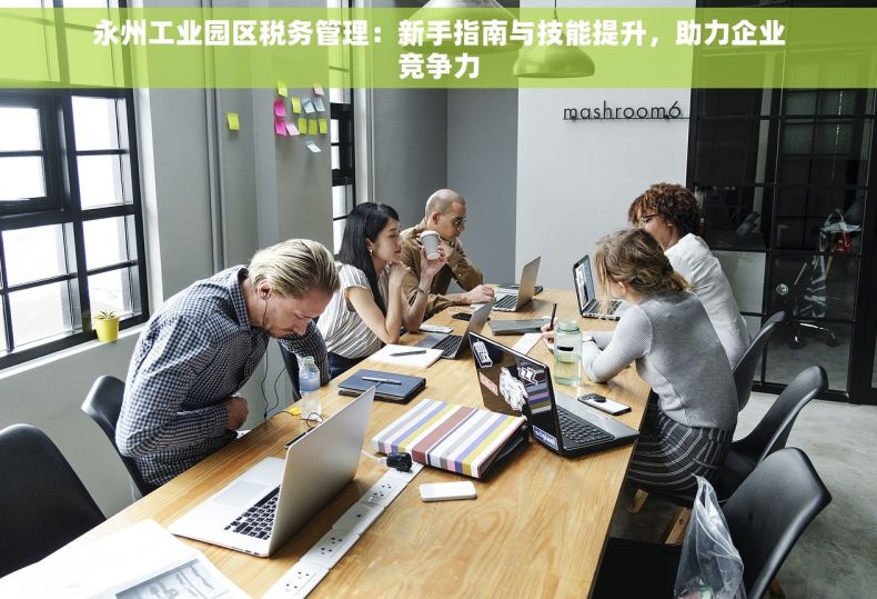 永州工业园区税务管理：新手指南与技能提升，助力企业竞争力