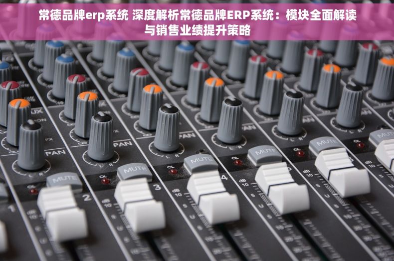 常德品牌erp系统 深度解析常德品牌ERP系统：模块全面解读与销售业绩提升策略