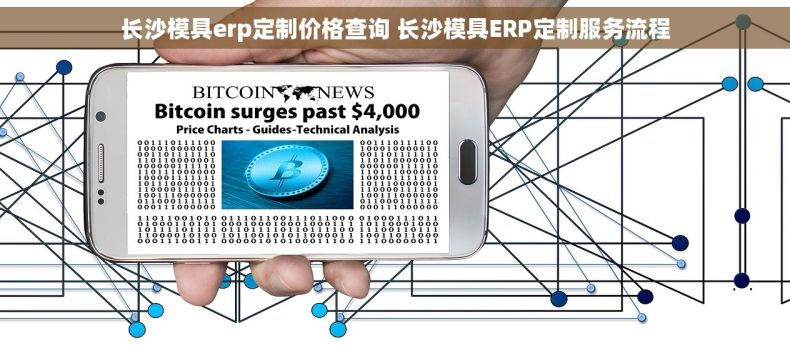 长沙模具erp定制价格查询 长沙模具ERP定制服务流程