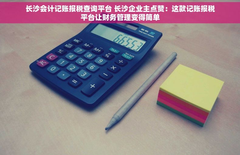 长沙会计记账报税查询平台 长沙企业主点赞：这款记账报税平台让财务管理变得简单