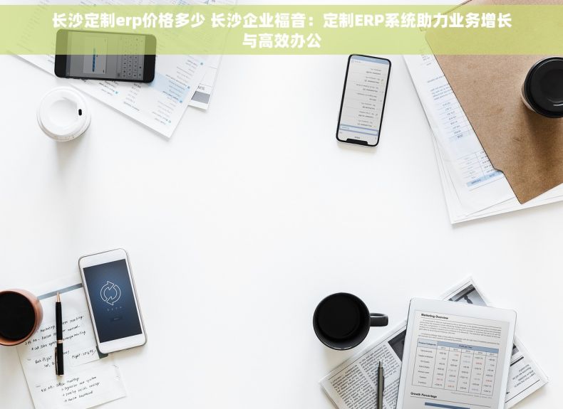 长沙定制erp价格多少 长沙企业福音：定制ERP系统助力业务增长与高效办公