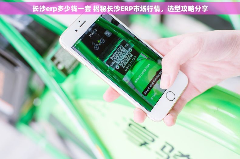 长沙erp多少钱一套 揭秘长沙ERP市场行情，选型攻略分享