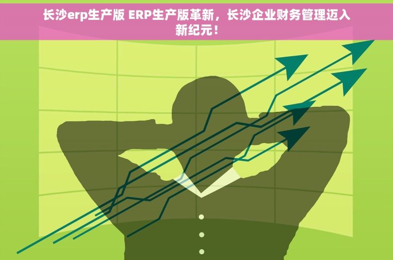 长沙erp生产版 ERP生产版革新，长沙企业财务管理迈入新纪元！