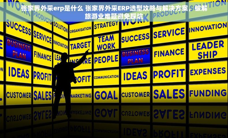 张家界外采erp是什么 张家界外采ERP选型攻略与解决方案，破解旅游业难题避免踩坑