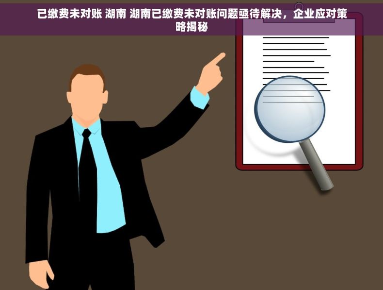 已缴费未对账 湖南 湖南已缴费未对账问题亟待解决，企业应对策略揭秘