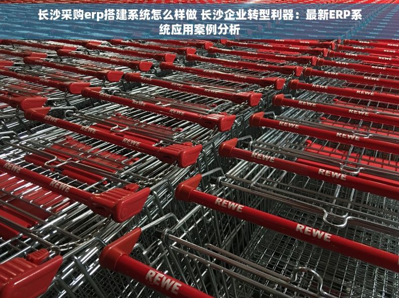 长沙采购erp搭建系统怎么样做 长沙企业转型利器：最新ERP系统应用案例分析