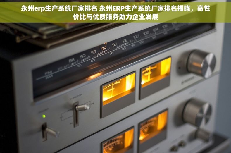 永州erp生产系统厂家排名 永州ERP生产系统厂家排名揭晓，高性价比与优质服务助力企业发展