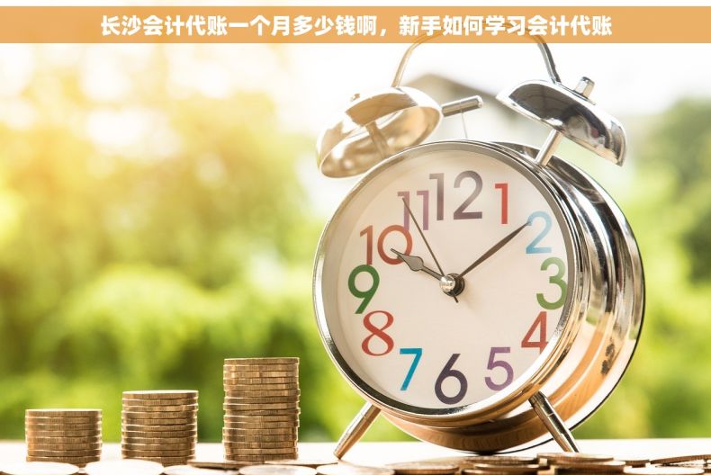 长沙会计代账一个月多少钱啊，新手如何学习会计代账