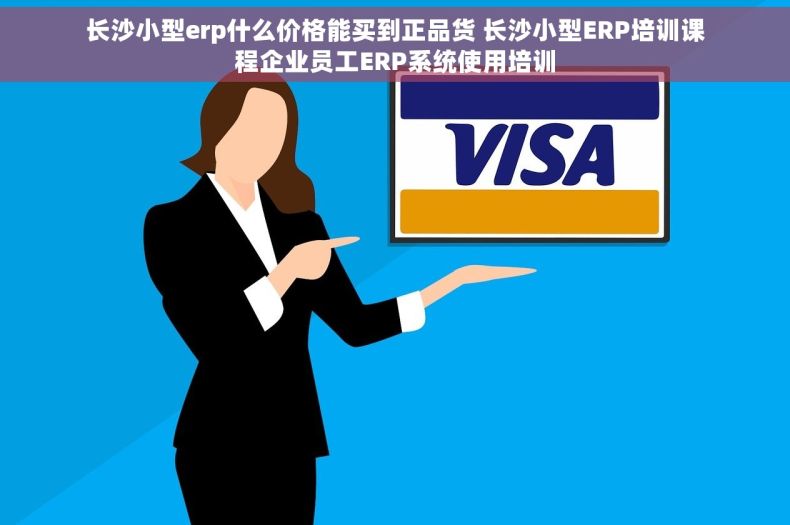 长沙小型erp什么价格能买到正品货 长沙小型ERP培训课程企业员工ERP系统使用培训