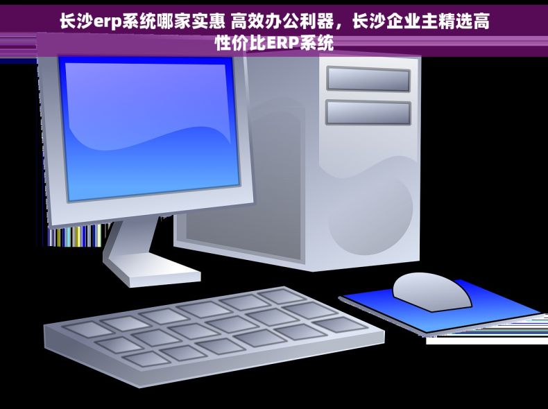 长沙erp系统哪家实惠 高效办公利器，长沙企业主精选高性价比ERP系统