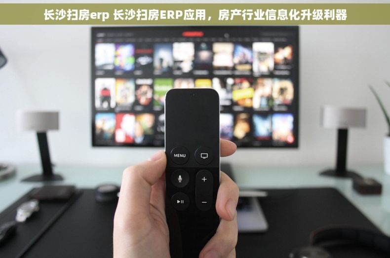 长沙扫房erp 长沙扫房ERP应用，房产行业信息化升级利器