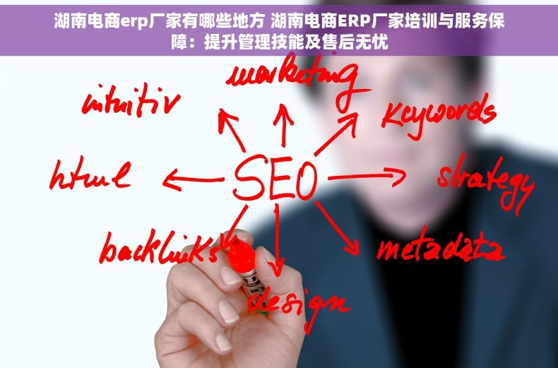 湖南电商erp厂家有哪些地方 湖南电商ERP厂家培训与服务保障：提升管理技能及售后无忧