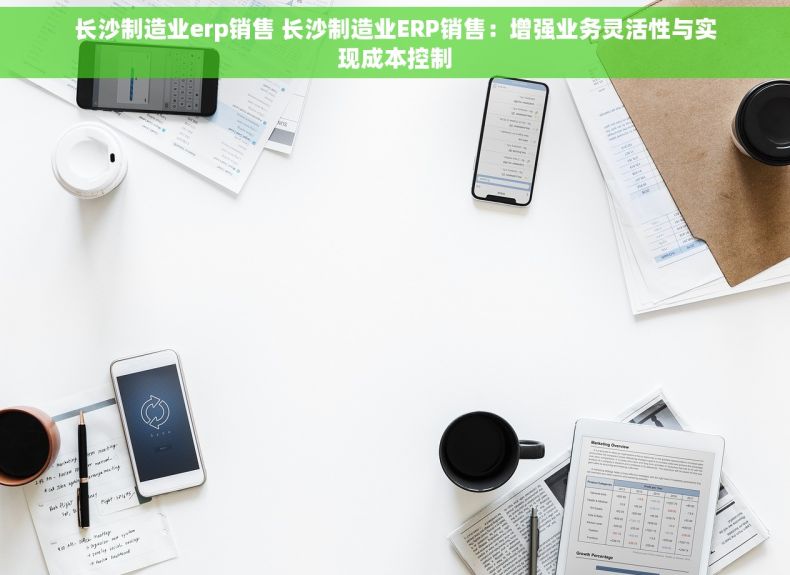 长沙制造业erp销售 长沙制造业ERP销售：增强业务灵活性与实现成本控制