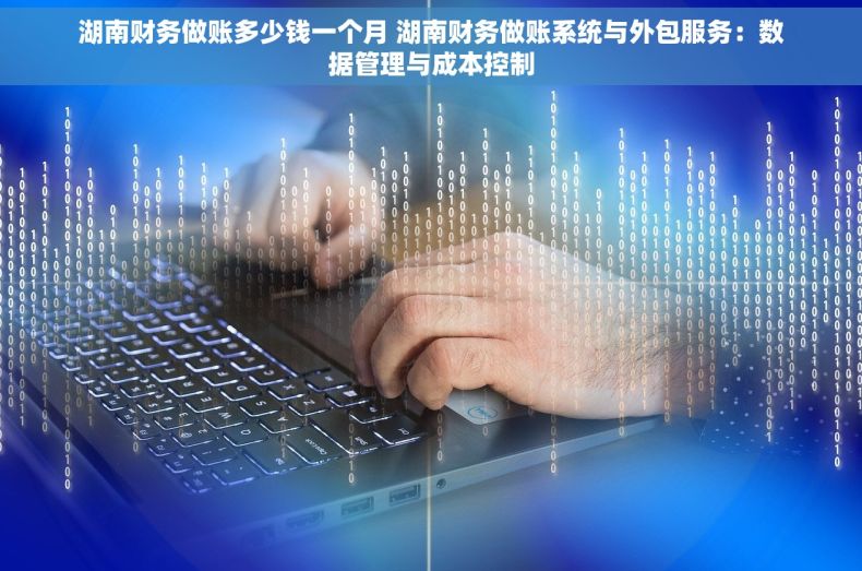 湖南财务做账多少钱一个月 湖南财务做账系统与外包服务：数据管理与成本控制