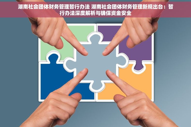 湖南社会团体财务管理暂行办法 湖南社会团体财务管理新规出台：暂行办法深度解析与确保资金安全