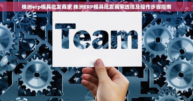 株洲erp模具批发商家 株洲ERP模具批发商家选择及操作步骤指南