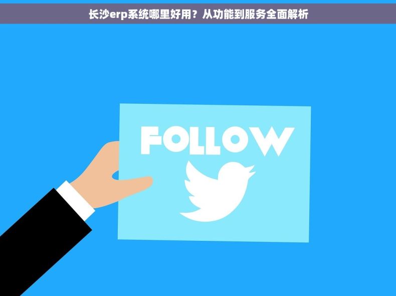 长沙erp系统哪里好用？从功能到服务全面解析